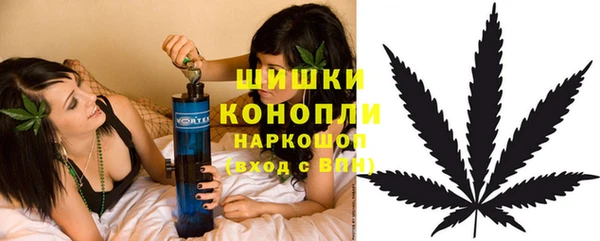 молекула духа Новозыбков