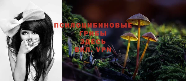 прущие крисы Краснослободск