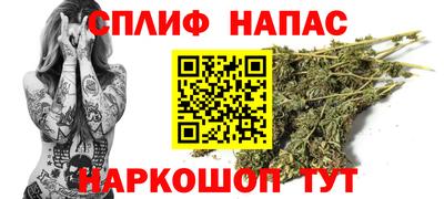 СК Гусев