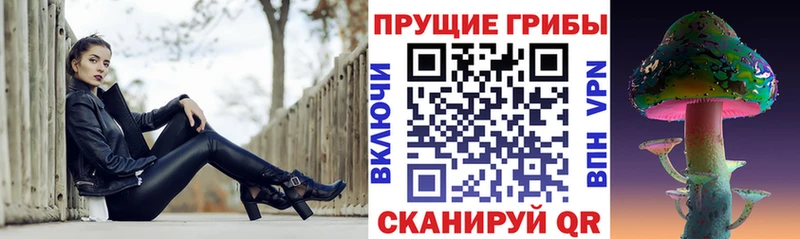Псилоцибиновые грибы Psilocybe  где можно купить   Юрга 