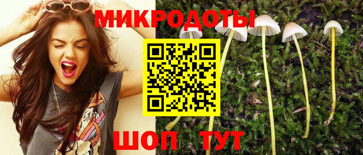 Галлюциногенные грибы Magic Shrooms Юрга