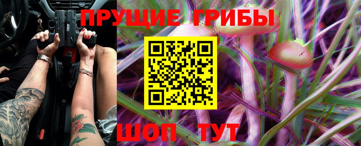 ГАШИШ Юрга