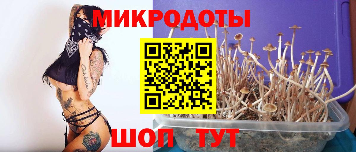 Галлюциногенные грибы Psilocybine cubensis  Псилоцибиновые грибы ЛСД  Вход с VPN  Юрга 